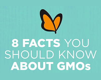 8 Facts You Should Know About GMOs